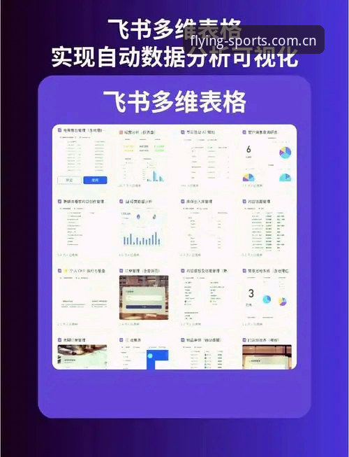 飞亚体育数据分析使用指南 飞亚体育数据分析使用指南:从入门到精通的完整攻略