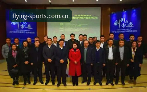 正版体育平台网址 飞亚体育平台实用指南:正版体育平台网址选择与使用技巧